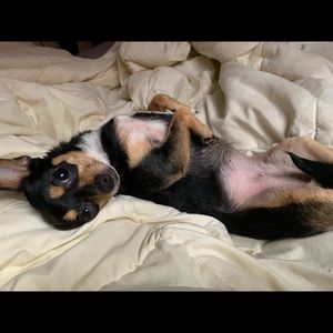 Meet your Posher, Lisette